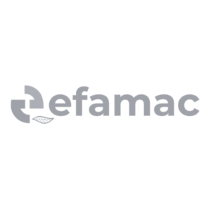 Logo de la empresa EFAMAC